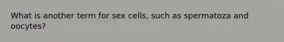 What is another term for sex cells, such as spermatoza and oocytes?