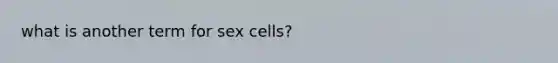 what is another term for sex cells?