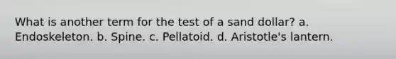 What is another term for the test of a sand dollar? a. Endoskeleton. b. Spine. c. Pellatoid. d. Aristotle's lantern.