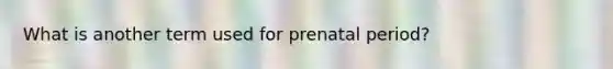 What is another term used for prenatal period?