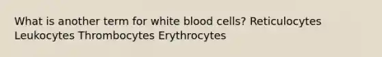 What is another term for white blood cells? Reticulocytes Leukocytes Thrombocytes Erythrocytes