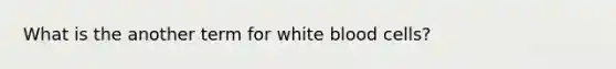 What is the another term for white blood cells?