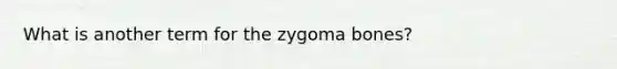 What is another term for the zygoma bones?