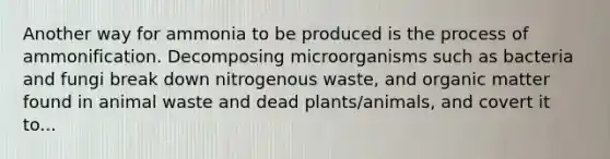 Another way for ammonia to be produced is the process of ammonification. Decomposing microorganisms such as bacteria and fungi break down nitrogenous waste, and organic matter found in animal waste and dead plants/animals, and covert it to...