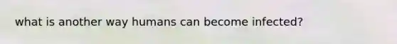 what is another way humans can become infected?