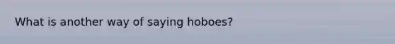 What is another way of saying hoboes?