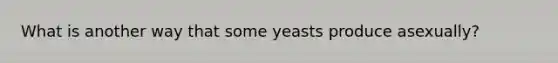 What is another way that some yeasts produce asexually?