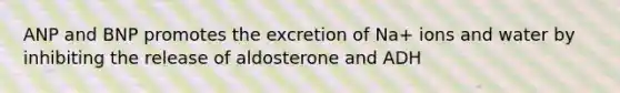 ANP and BNP promotes the excretion of Na+ ions and water by inhibiting the release of aldosterone and ADH