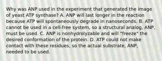 Why was ANP used in the experiment that generated the image of yeast ATP synthase? A. ANP will last longer in the reaction because ATP will spontaneously degrade in nanoseconds. B. ATP cannot be used in a cell-free system, so a structural analog, ANP, must be used. C. ANP is nonhydrolyzable and will "freeze" the desired conformation of the protein. D. ATP could not make contact with these residues, so the actual substrate, ANP, needed to be used.