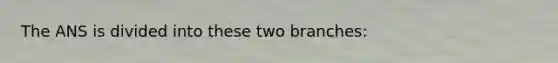 The ANS is divided into these two branches: