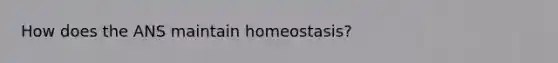 How does the ANS maintain homeostasis?