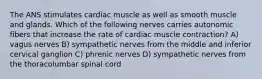 The ANS stimulates cardiac muscle as well as smooth muscle and glands. Which of the following nerves carries autonomic fibers that increase the rate of cardiac muscle contraction? A) vagus nerves B) sympathetic nerves from the middle and inferior cervical ganglion C) phrenic nerves D) sympathetic nerves from the thoracolumbar spinal cord