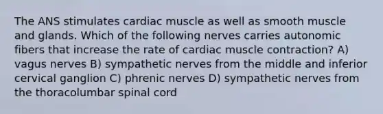 The ANS stimulates cardiac muscle as well as smooth muscle and glands. Which of the following nerves carries autonomic fibers that increase the rate of cardiac muscle contraction? A) vagus nerves B) sympathetic nerves from the middle and inferior cervical ganglion C) phrenic nerves D) sympathetic nerves from the thoracolumbar spinal cord