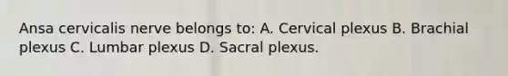 Ansa cervicalis nerve belongs to: A. Cervical plexus B. Brachial plexus C. Lumbar plexus D. Sacral plexus.