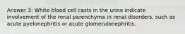 Answer 3: White blood cell casts in the urine indicate involvement of the renal parenchyma in renal disorders, such as acute pyelonephritis or acute glomerulonephritis.