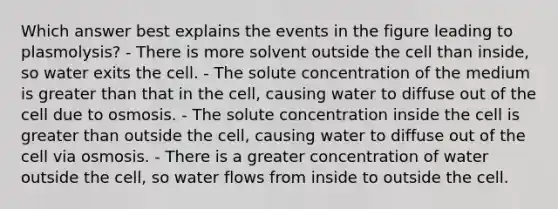 Which answer best explains the events in the figure leading to plasmolysis? - There is more solvent outside the cell than inside, so water exits the cell. - The solute concentration of the medium is greater than that in the cell, causing water to diffuse out of the cell due to osmosis. - The solute concentration inside the cell is greater than outside the cell, causing water to diffuse out of the cell via osmosis. - There is a greater concentration of water outside the cell, so water flows from inside to outside the cell.