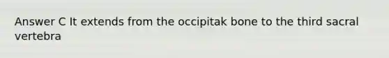 Answer C It extends from the occipitak bone to the third sacral vertebra