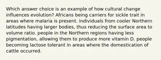 Which answer choice is an example of how cultural change influences evolution? Africans being carriers for sickle trait in areas where malaria is present. individuals from cooler Northern latitudes having larger bodies, thus reducing the surface area to volume ratio. people in the Northern regions having less pigmentation, allowing them to produce more vitamin D. people becoming lactose tolerant in areas where the domestication of cattle occurred.