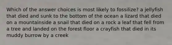 Which of the answer choices is most likely to fossilize? a jellyfish that died and sunk to the bottom of the ocean a lizard that died on a mountainside a snail that died on a rock a leaf that fell from a tree and landed on the forest floor a crayfish that died in its muddy burrow by a creek