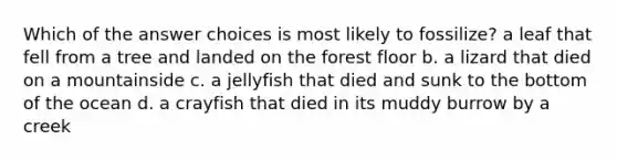 Which of the answer choices is most likely to fossilize? a leaf that fell from a tree and landed on the forest floor b. a lizard that died on a mountainside c. a jellyfish that died and sunk to the bottom of the ocean d. a crayfish that died in its muddy burrow by a creek