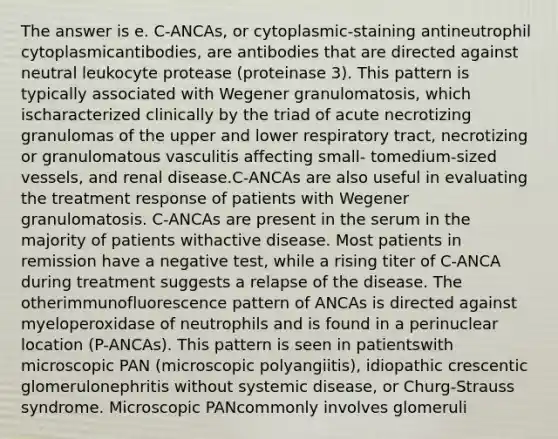 The answer is e. C-ANCAs, or cytoplasmic-staining antineutrophil cytoplasmicantibodies, are antibodies that are directed against neutral leukocyte protease (proteinase 3). This pattern is typically associated with Wegener granulomatosis, which ischaracterized clinically by the triad of acute necrotizing granulomas of the upper and lower respiratory tract, necrotizing or granulomatous vasculitis affecting small- tomedium-sized vessels, and renal disease.C-ANCAs are also useful in evaluating the treatment response of patients with Wegener granulomatosis. C-ANCAs are present in the serum in the majority of patients withactive disease. Most patients in remission have a negative test, while a rising titer of C-ANCA during treatment suggests a relapse of the disease. The otherimmunofluorescence pattern of ANCAs is directed against myeloperoxidase of neutrophils and is found in a perinuclear location (P-ANCAs). This pattern is seen in patientswith microscopic PAN (microscopic polyangiitis), idiopathic crescentic glomerulonephritis without systemic disease, or Churg-Strauss syndrome. Microscopic PANcommonly involves glomeruli