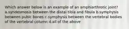 Which answer below is an example of an amphiarthrotic joint? a.syndesmosis between the distal tibia and fibula b.symphysis between pubic bones c.symphysis between the vertebral bodies of the vertebral column d.all of the above