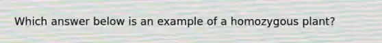 Which answer below is an example of a homozygous plant?