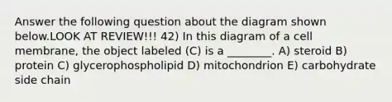 Answer the following question about the diagram shown below.LOOK AT REVIEW!!! 42) In this diagram of a cell membrane, the object labeled (C) is a ________. A) steroid B) protein C) glycerophospholipid D) mitochondrion E) carbohydrate side chain