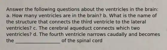 Answer the following questions about the ventricles in the brain: a. How many ventricles are in the brain? b. What is the name of the structure that connects the third ventricle to the lateral ventricles? c. The cerebral aqueduct connects which two ventricles? d. The fourth ventricle narrows caudally and becomes the ___________________ of the spinal cord