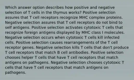 Which answer option describes how positive and negative selection of T cells in the thymus works? Positive selection assures that T cell receptors recognize MHC complex proteins. Negative selection assures that T cell receptors do not bind to self antigens. Positive selection activates cytotoxic T cells that recognize foreign antigens displayed by MHC class I molecules. Negative selection occurs when cytotoxic T cells kill infected cells. Positive selection causes rearrangements of the T cell receptor genes. Negative selection kills T cells that don't produce T cell receptors that match B cell antibodies. Positive selection chooses helper T cells that have T cell receptors that match antigens on pathogens. Negative selection chooses cytotoxic T cells that have T cell receptors that match antigens on pathogens.