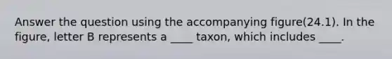 Answer the question using the accompanying figure(24.1). In the figure, letter B represents a ____ taxon, which includes ____.