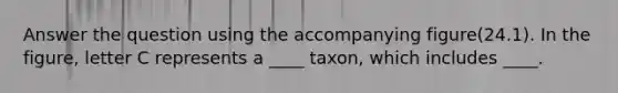 Answer the question using the accompanying figure(24.1). In the figure, letter C represents a ____ taxon, which includes ____.