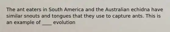 The ant eaters in South America and the Australian echidna have similar snouts and tongues that they use to capture ants. This is an example of ____ evolution