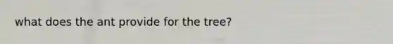 what does the ant provide for the tree?