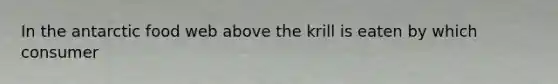 In the antarctic food web above the krill is eaten by which consumer