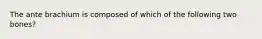 The ante brachium is composed of which of the following two bones?