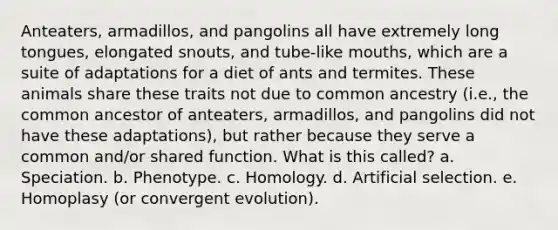 Anteaters, armadillos, and pangolins all have extremely long tongues, elongated snouts, and tube-like mouths, which are a suite of adaptations for a diet of ants and termites. These animals share these traits not due to common ancestry (i.e., the common ancestor of anteaters, armadillos, and pangolins did not have these adaptations), but rather because they serve a common and/or shared function. What is this called? a. Speciation. b. Phenotype. c. Homology. d. Artificial selection. e. Homoplasy (or convergent evolution).