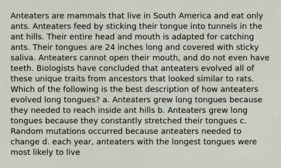 Anteaters are mammals that live in South America and eat only ants. Anteaters feed by sticking their tongue into tunnels in the ant hills. Their entire head and mouth is adapted for catching ants. Their tongues are 24 inches long and covered with sticky saliva. Anteaters cannot open their mouth, and do not even have teeth. Biologists have concluded that anteaters evolved all of these unique traits from ancestors that looked similar to rats. Which of the following is the best description of how anteaters evolved long tongues? a. Anteaters grew long tongues because they needed to reach inside ant hills b. Anteaters grew long tongues because they constantly stretched their tongues c. Random mutations occurred because anteaters needed to change d. each year, anteaters with the longest tongues were most likely to live