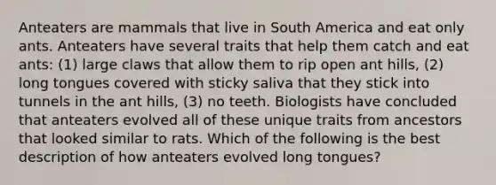 Anteaters are mammals that live in South America and eat only ants. Anteaters have several traits that help them catch and eat ants: (1) large claws that allow them to rip open ant hills, (2) long tongues covered with sticky saliva that they stick into tunnels in the ant hills, (3) no teeth. Biologists have concluded that anteaters evolved all of these unique traits from ancestors that looked similar to rats. Which of the following is the best description of how anteaters evolved long tongues?