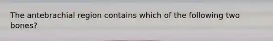 The antebrachial region contains which of the following two bones?