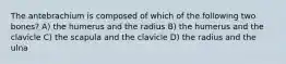 The antebrachium is composed of which of the following two bones? A) the humerus and the radius B) the humerus and the clavicle C) the scapula and the clavicle D) the radius and the ulna