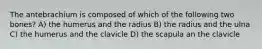 The antebrachium is composed of which of the following two bones? A) the humerus and the radius B) the radius and the ulna C) the humerus and the clavicle D) the scapula an the clavicle