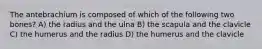 The antebrachium is composed of which of the following two bones? A) the radius and the ulna B) the scapula and the clavicle C) the humerus and the radius D) the humerus and the clavicle