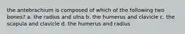 the antebrachium is composed of which of the following two bones? a. the radius and ulna b. the humerus and clavicle c. the scapula and clavicle d. the humerus and radius