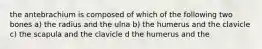 the antebrachium is composed of which of the following two bones a) the radius and the ulna b) the humerus and the clavicle c) the scapula and the clavicle d the humerus and the