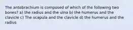 The antebrachium is composed of which of the following two bones? a) the radius and the ulna b) the humerus and the clavicle c) The scapula and the clavicle d) the humerus and the radius