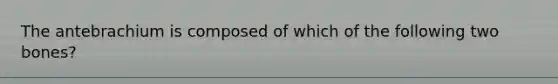 The antebrachium is composed of which of the following two bones?