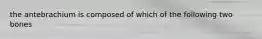 the antebrachium is composed of which of the following two bones