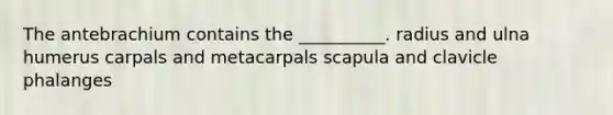 The antebrachium contains the __________. radius and ulna humerus carpals and metacarpals scapula and clavicle phalanges