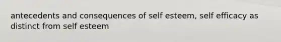 antecedents and consequences of self esteem, self efficacy as distinct from self esteem